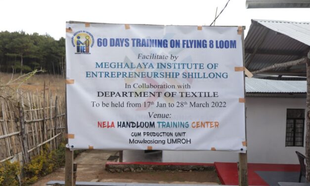 60 Days Training on Flying 8 Loom